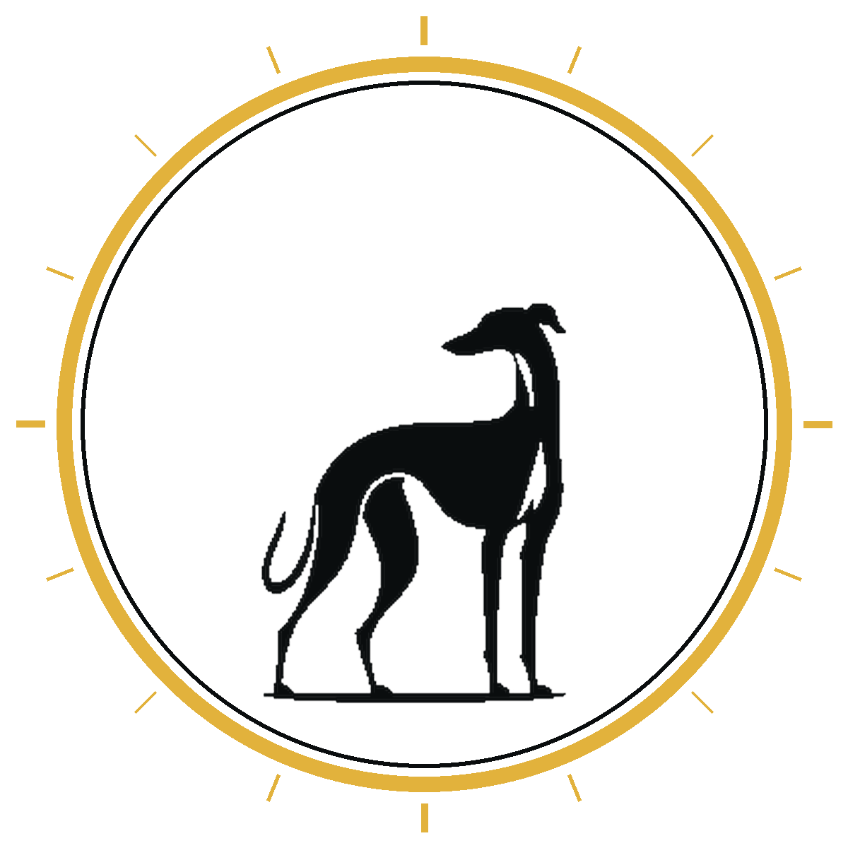 Black Hound Media logo